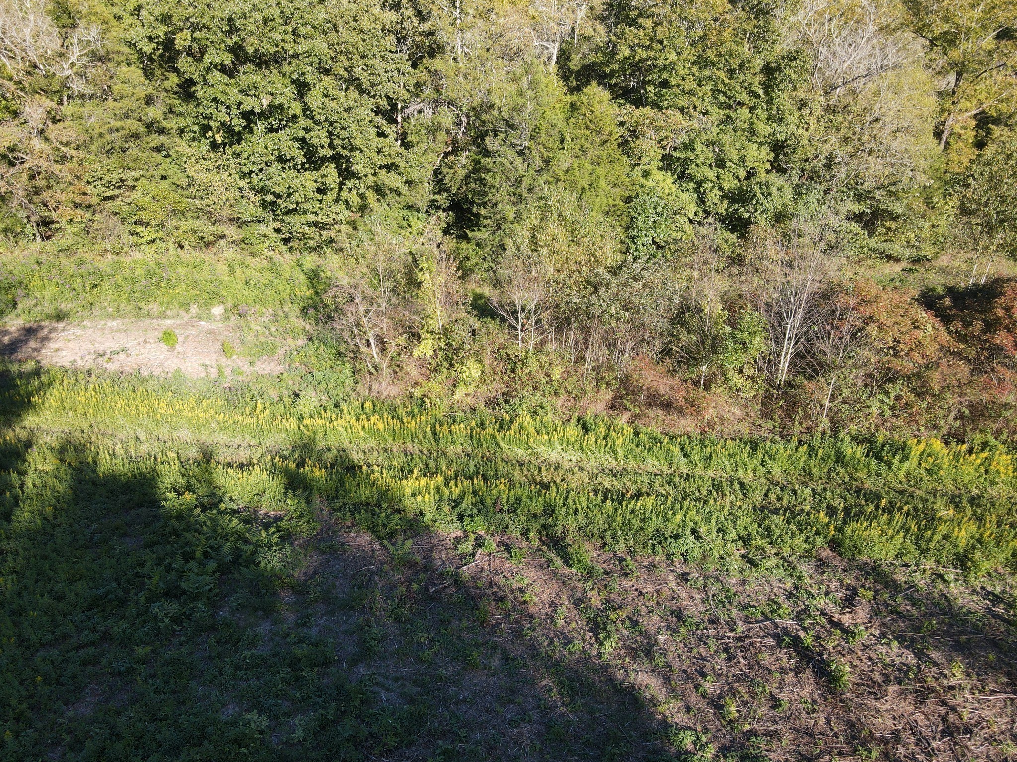 0 Cole Ridge Road