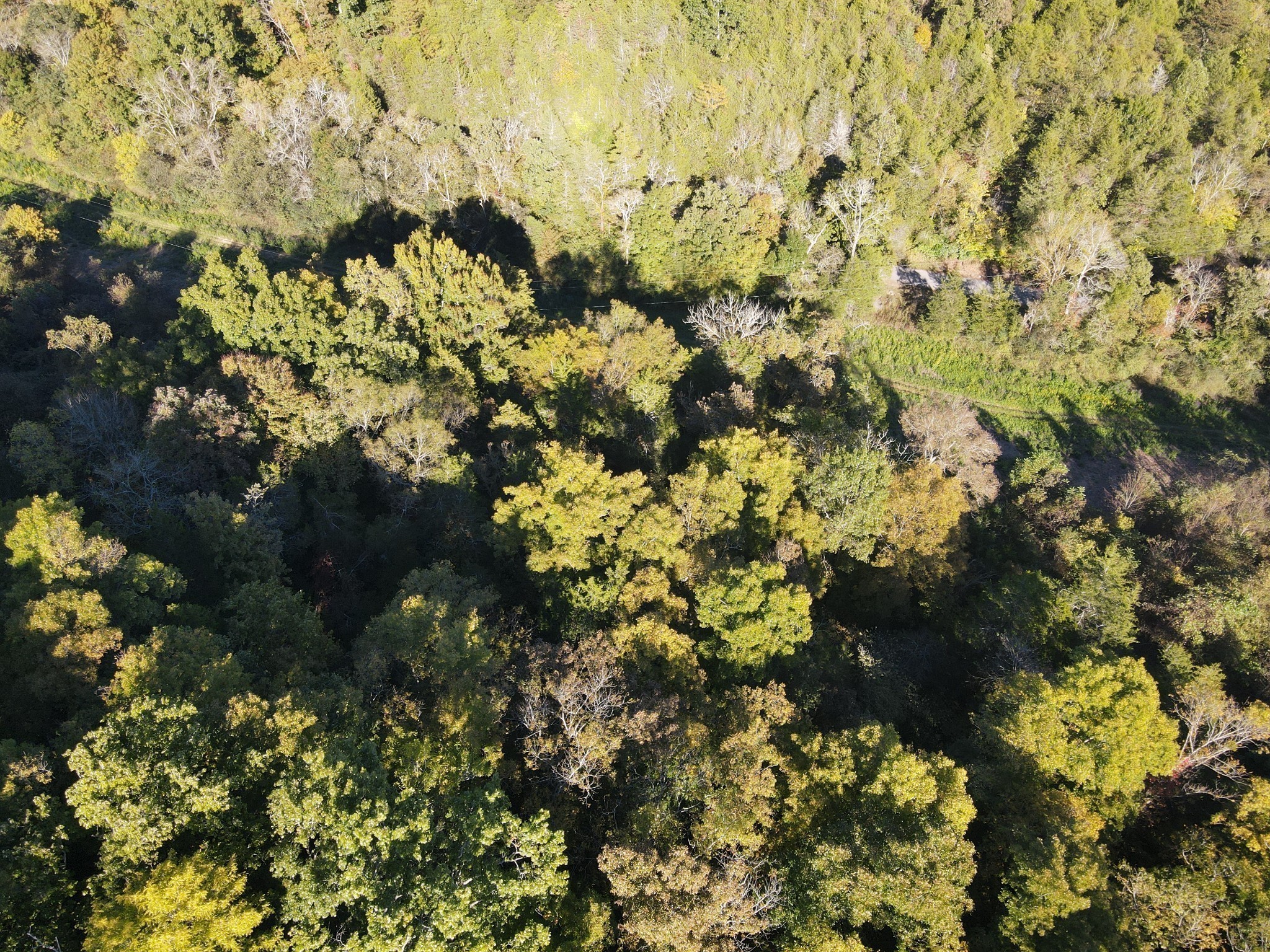 0 Cole Ridge Road
