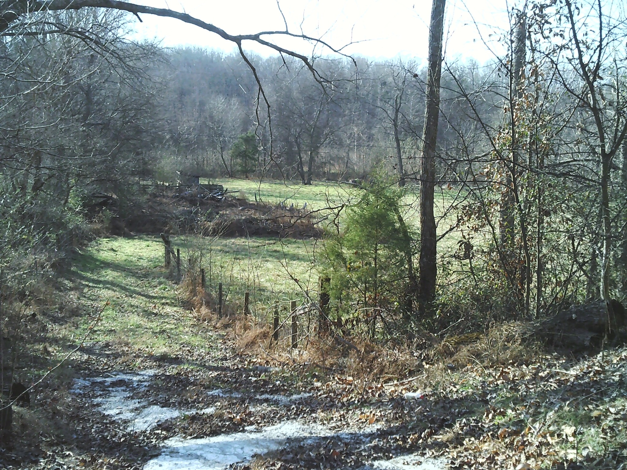 124 Hayes Fork Creek Rd