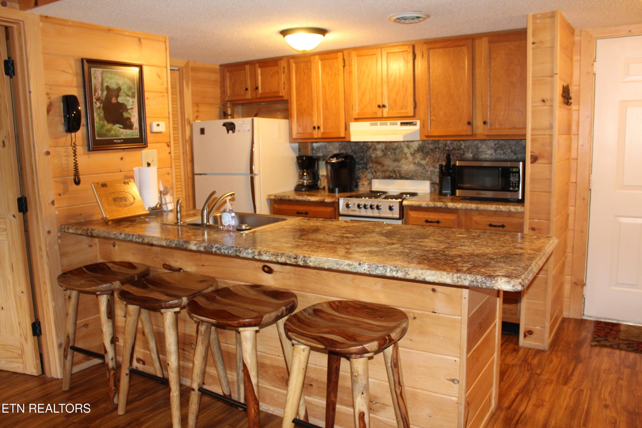 1380 Ski View Drive