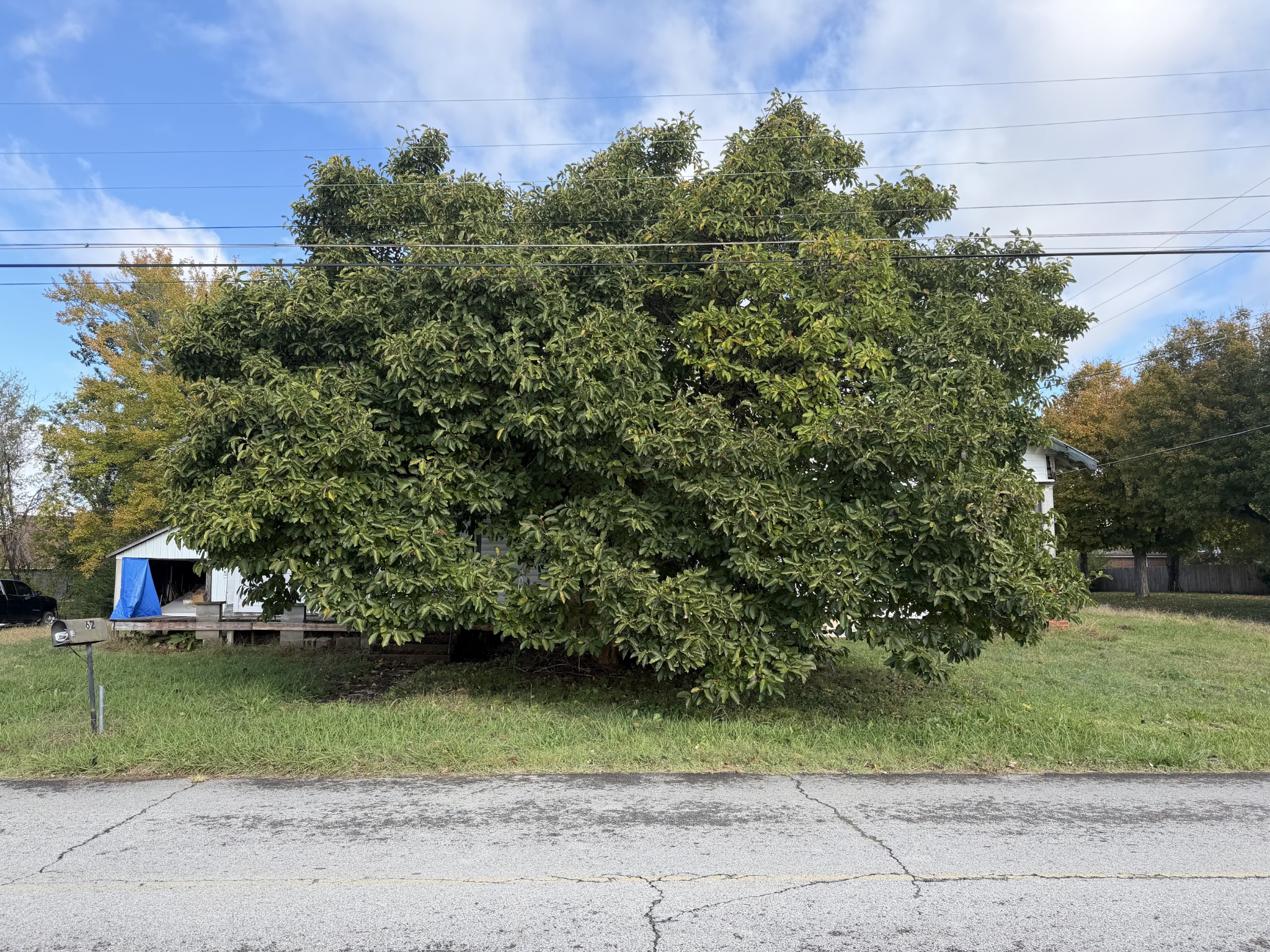 62 High St, E