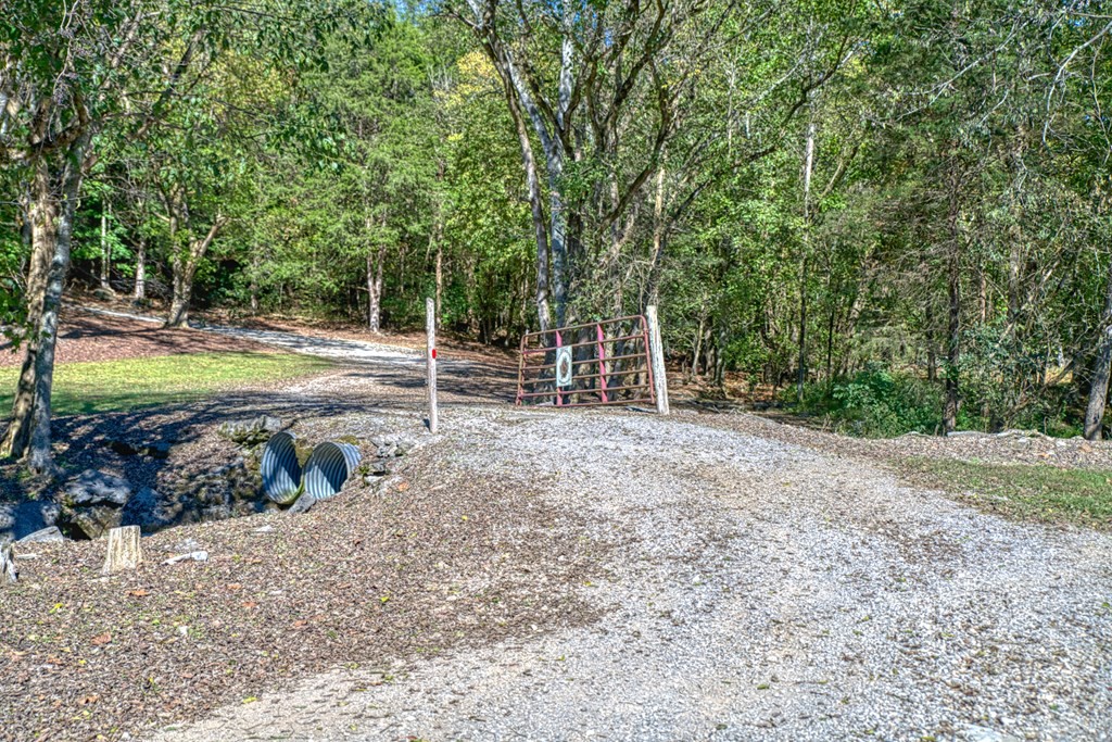 1582 Spring Fork Rd