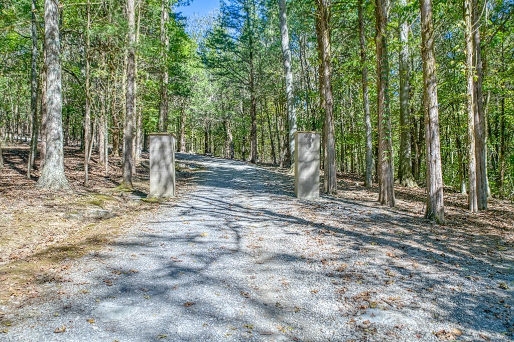 1582 Spring Fork Rd