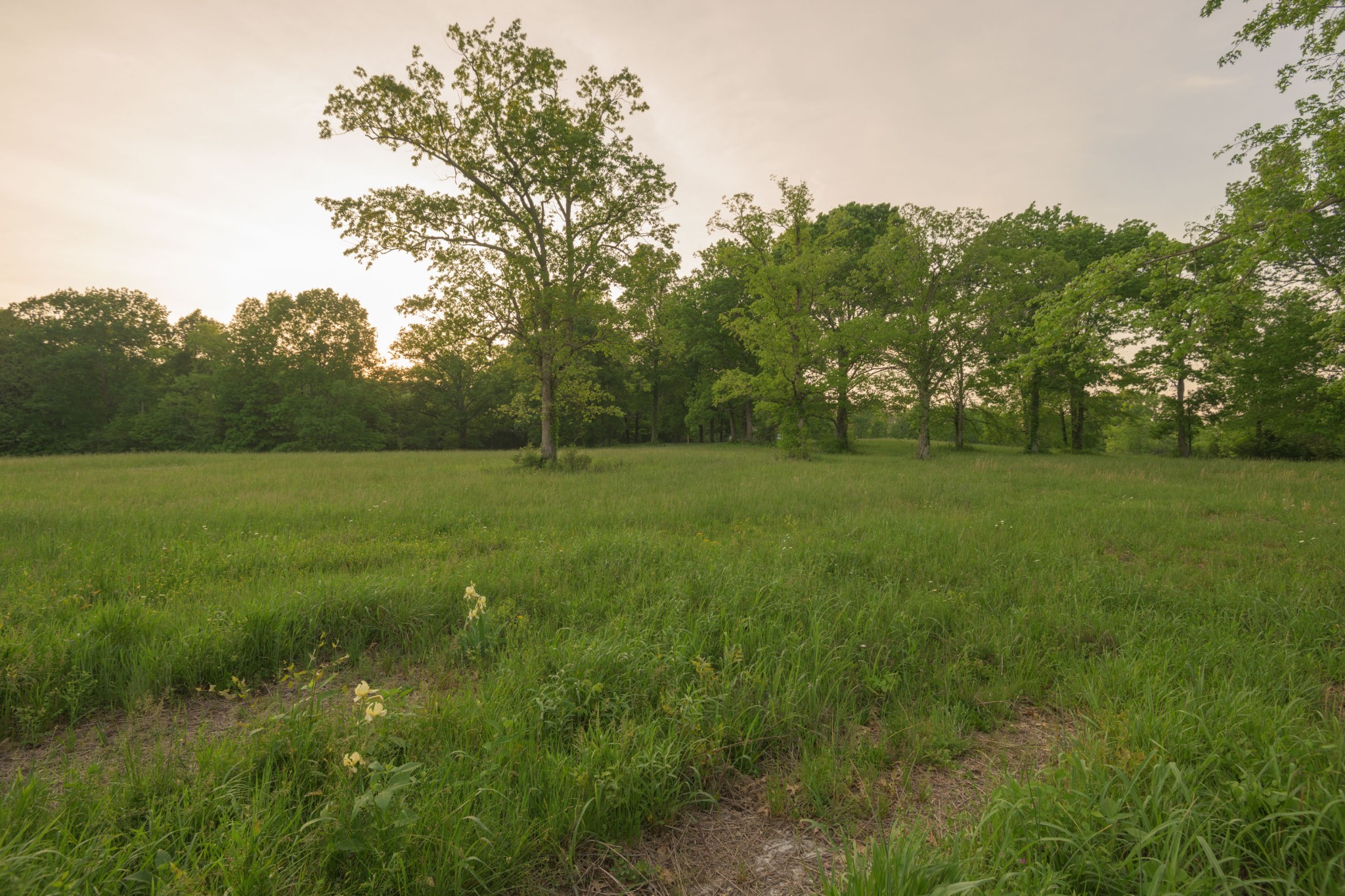 775 Railroad Rd