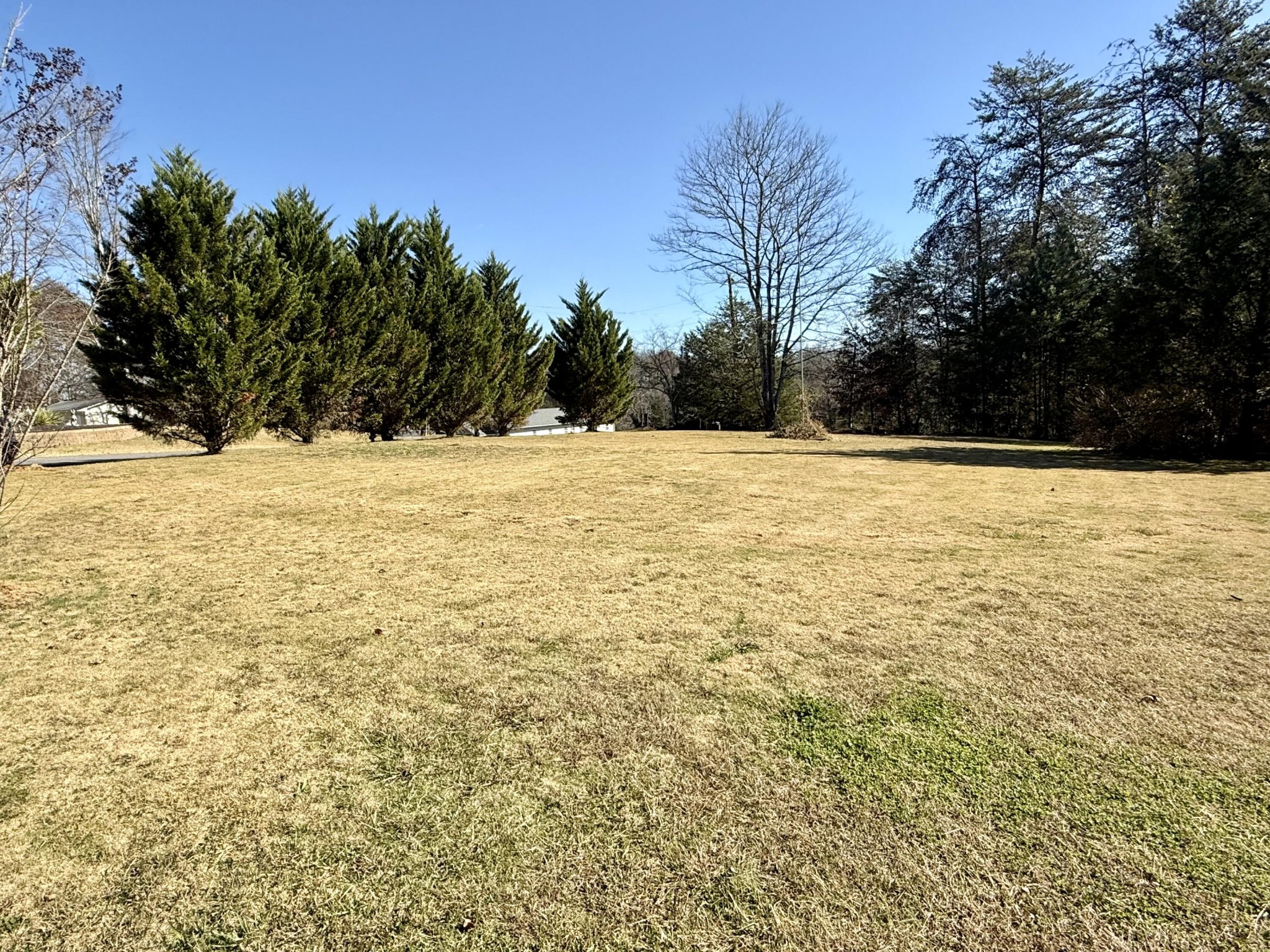 172 County Road 653