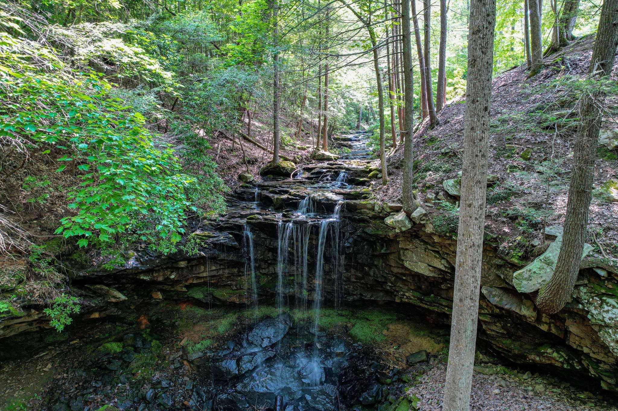 110 Falls Lane