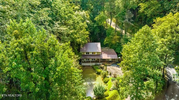 3127 Emerald Springs Loop