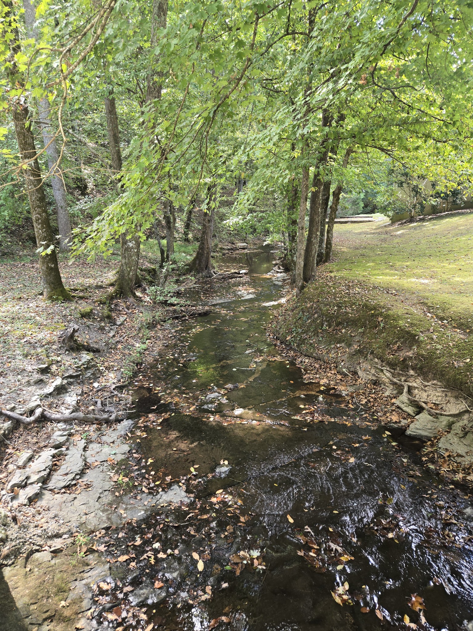 2130 Irwin Branch Rd