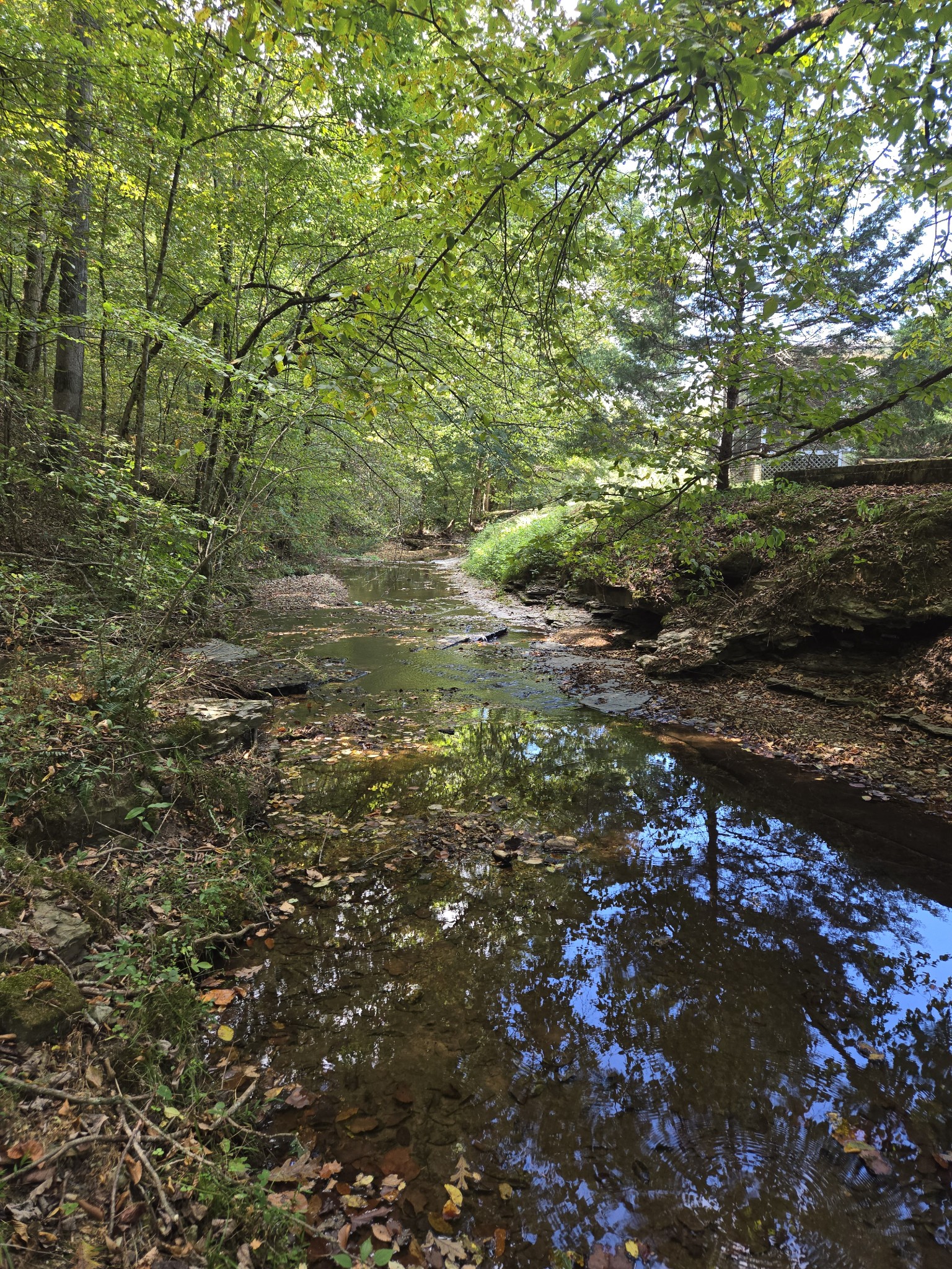 2130 Irwin Branch Rd