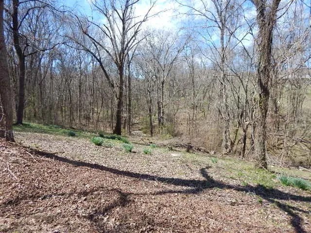 126 Jones Hollow Rd