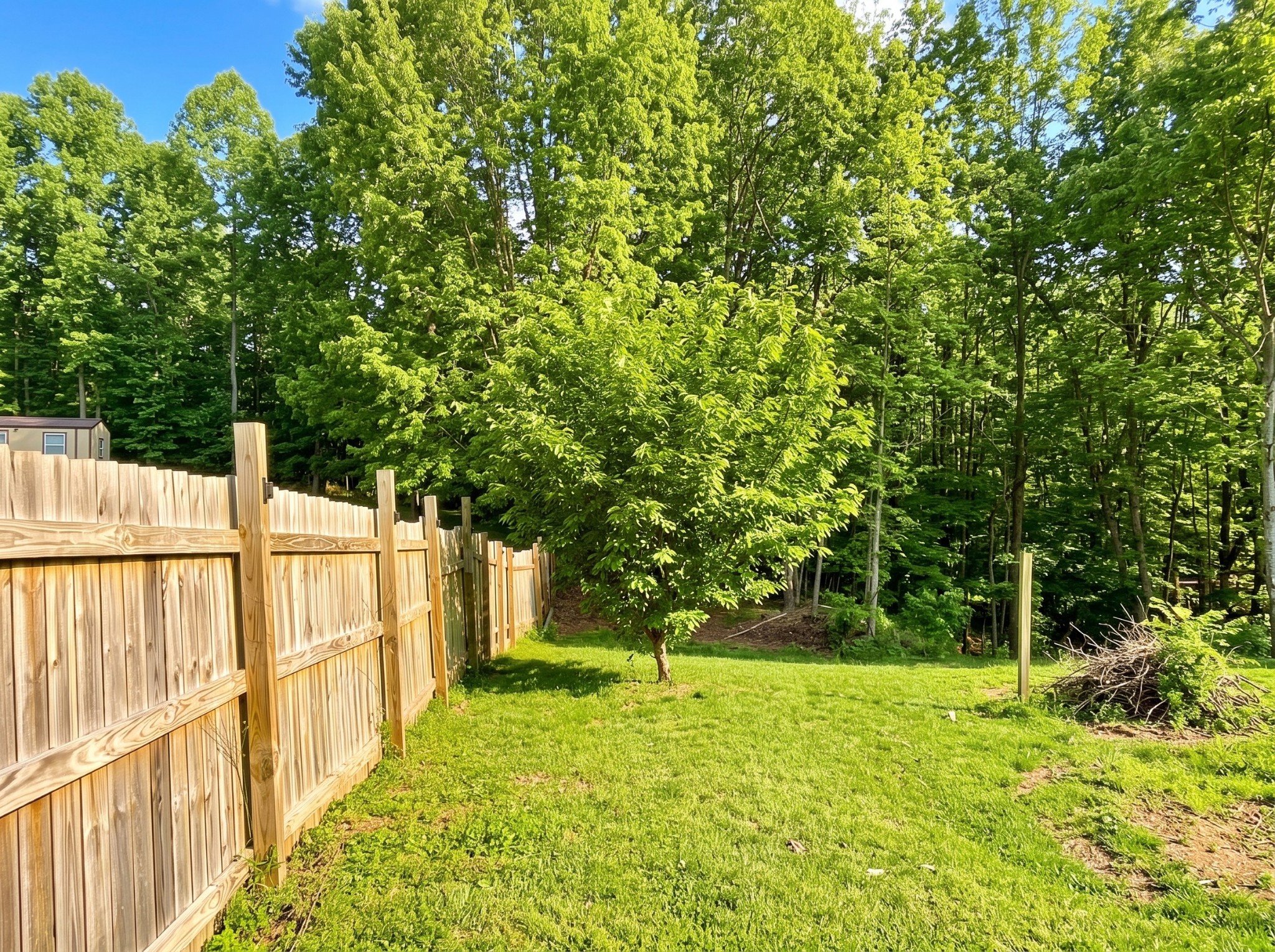 225 Lake Forrest Rd