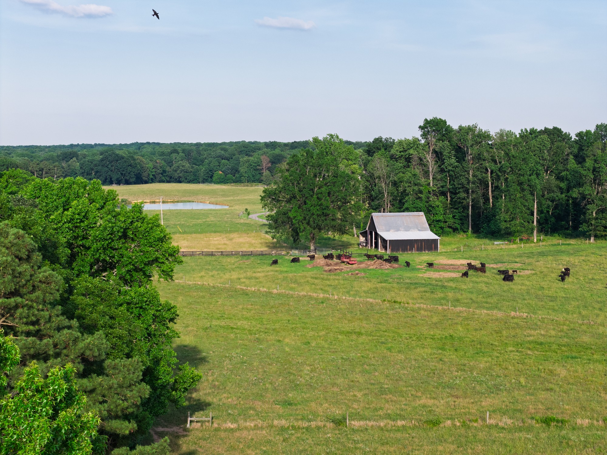 555 Williams Rd