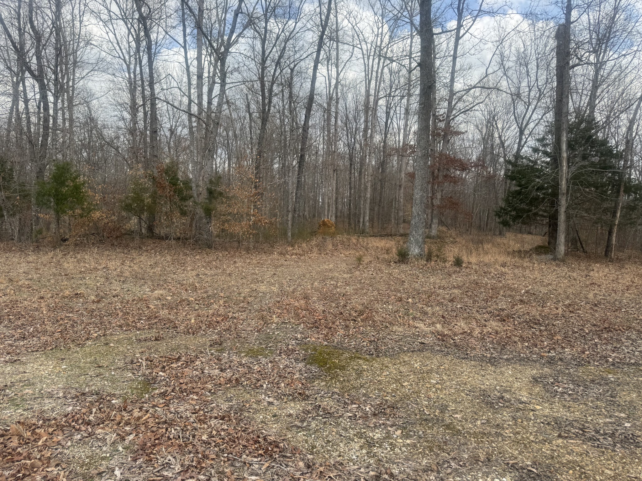 323 Graham Rd