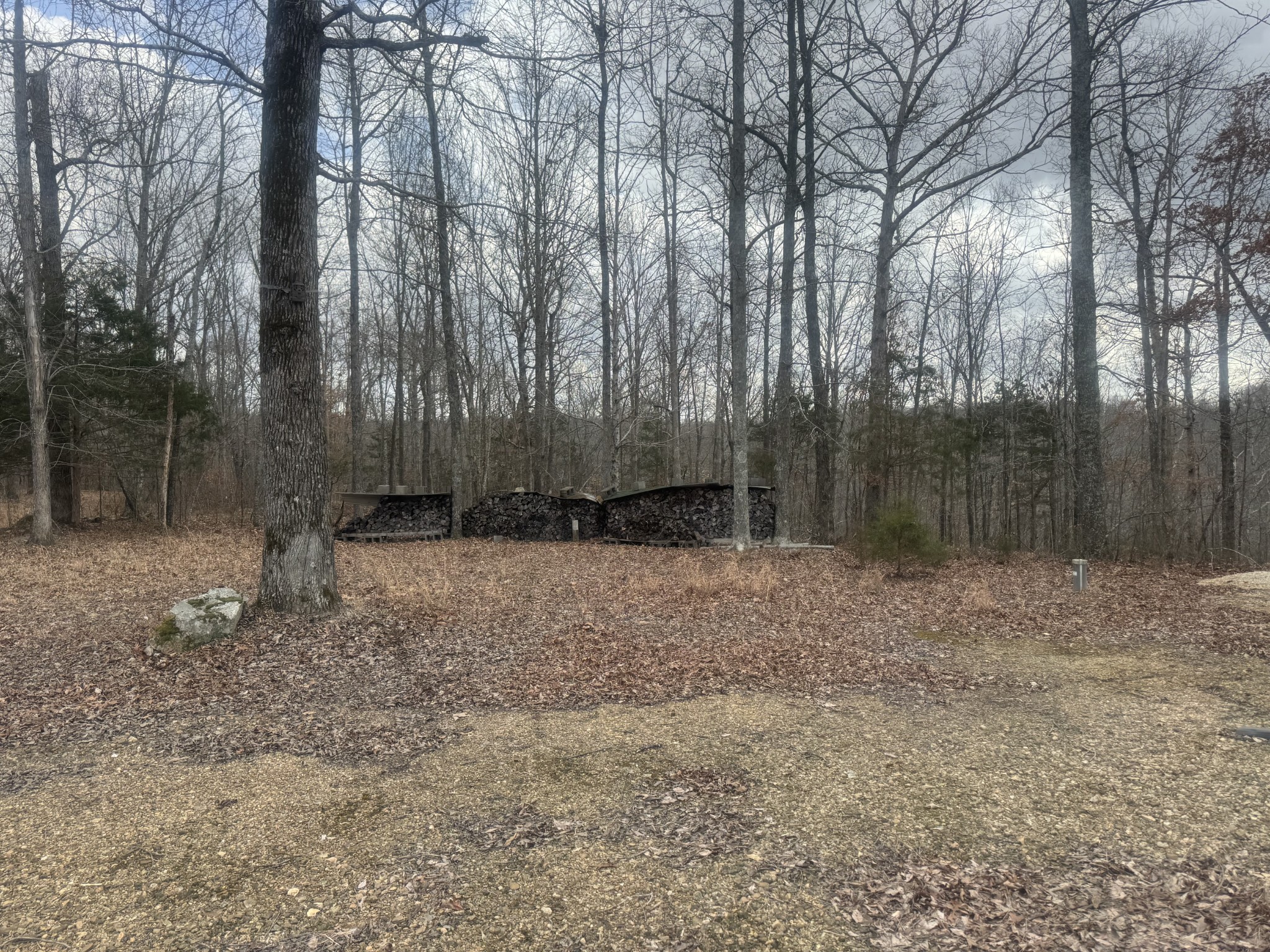 323 Graham Rd