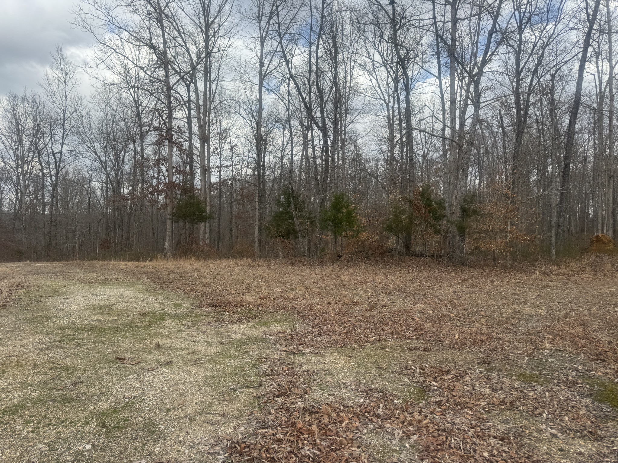 323 Graham Rd