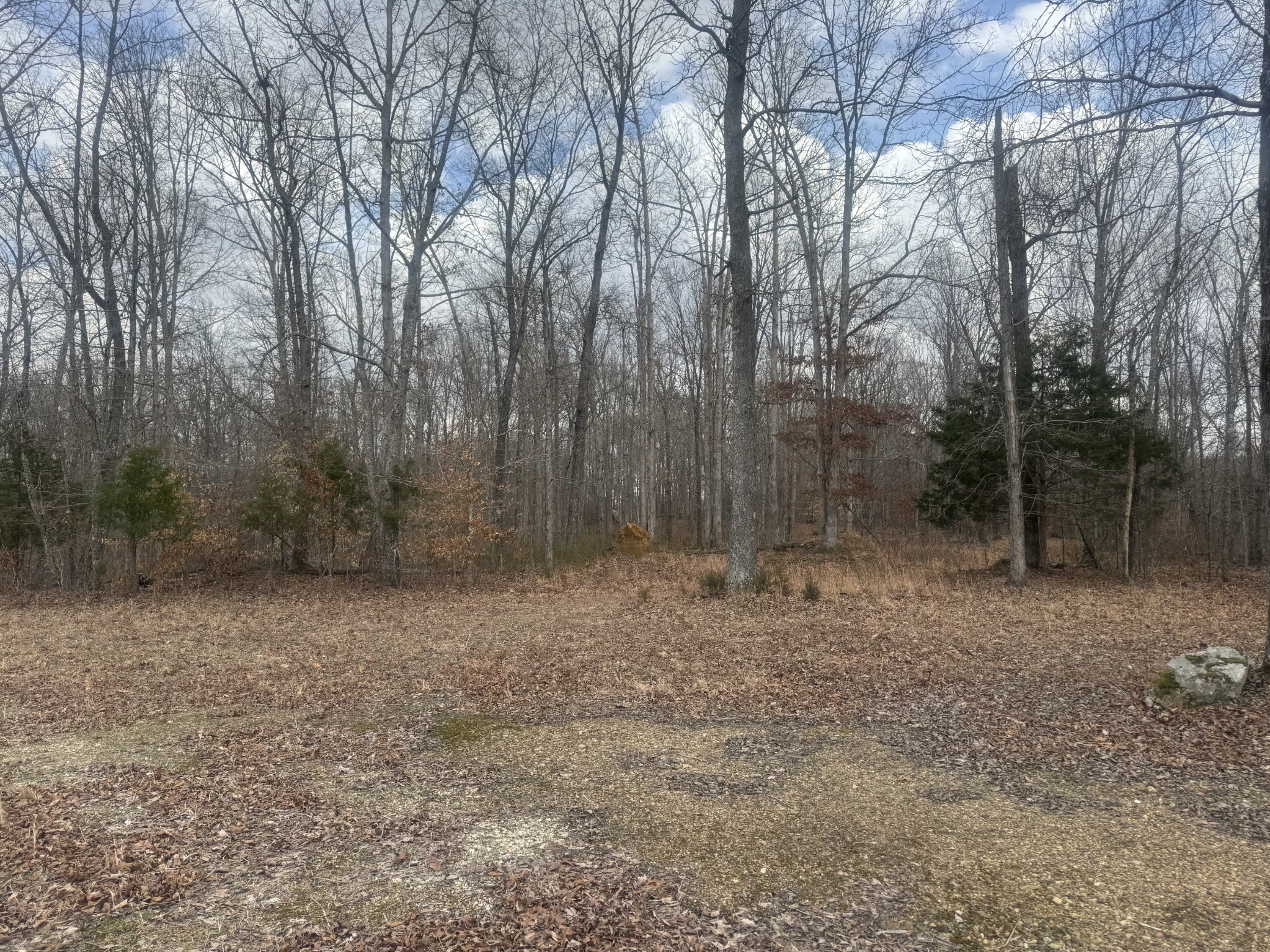 323 Graham Rd