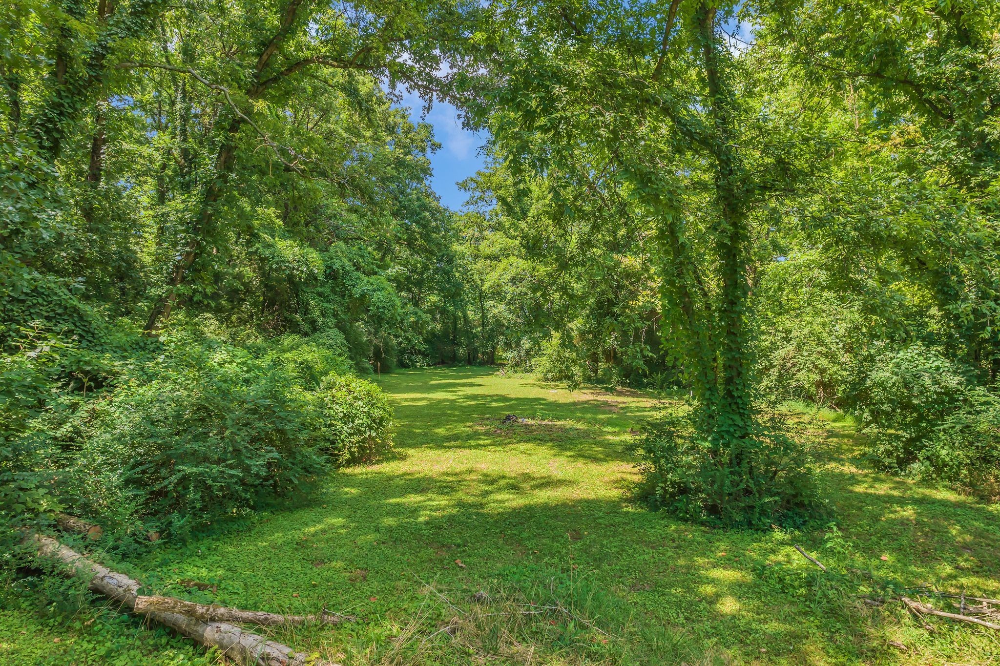 1008 Downey Dr