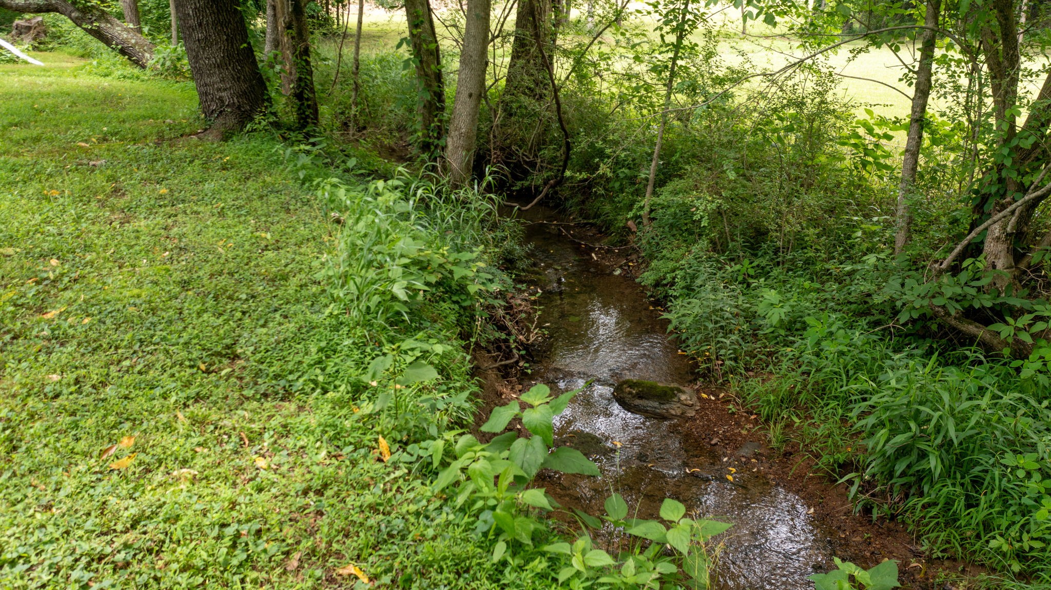 4648 31 Hwy, W