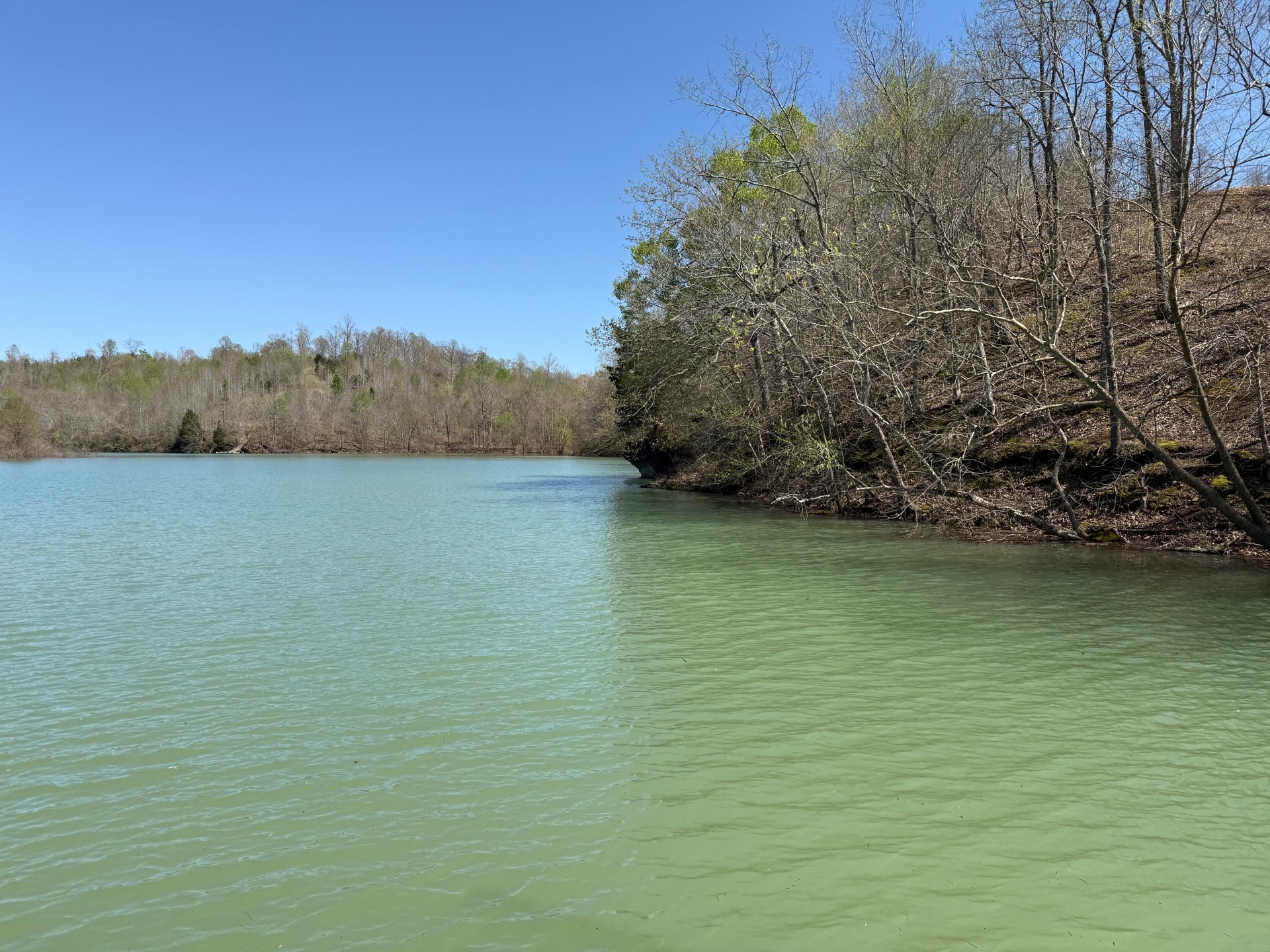 111 Portalatin Pointe