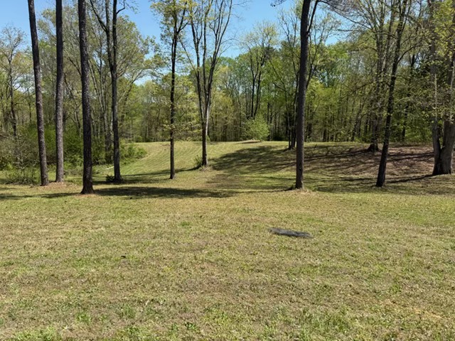 534 Whitney Branch Rd