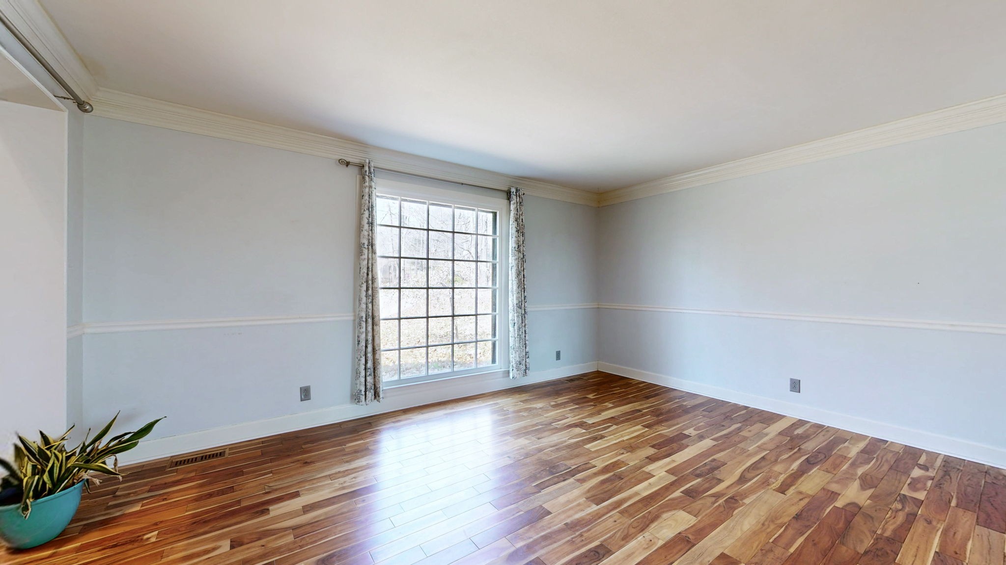 808 Shady Bluff Trl