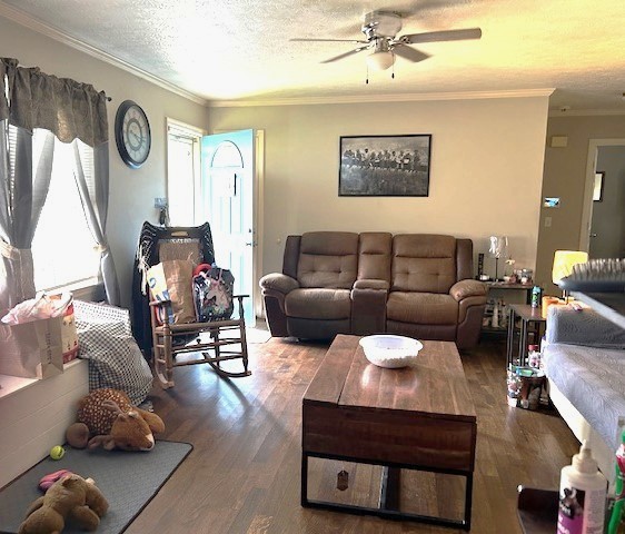 102 Cofer Dr