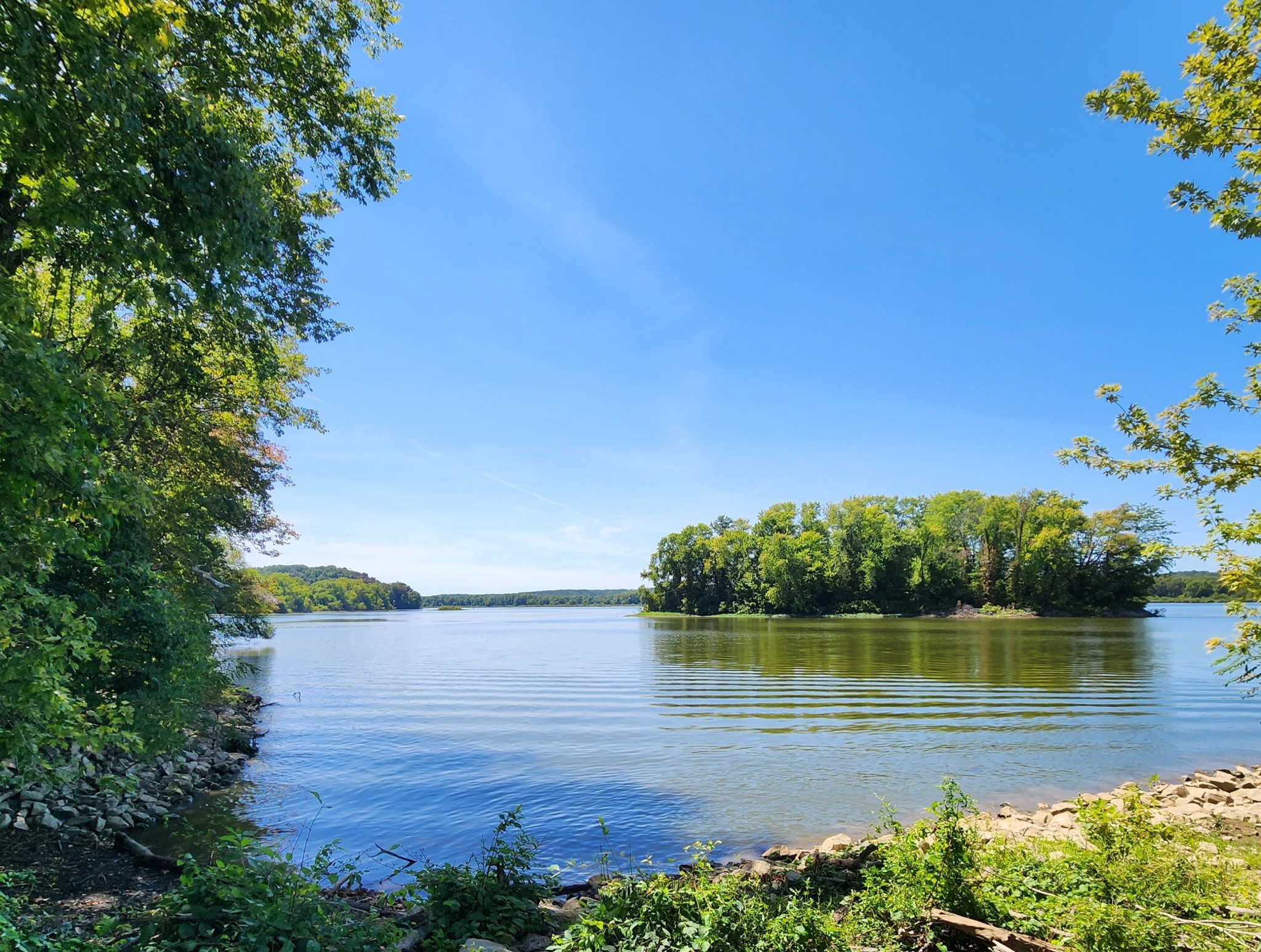 229 Bob Walker Rd