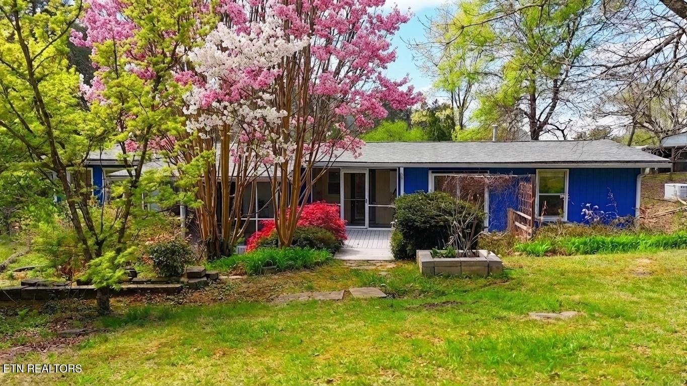 169 County Road 463