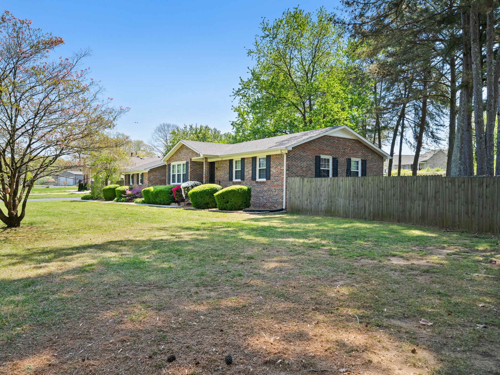 50 Maple Dr