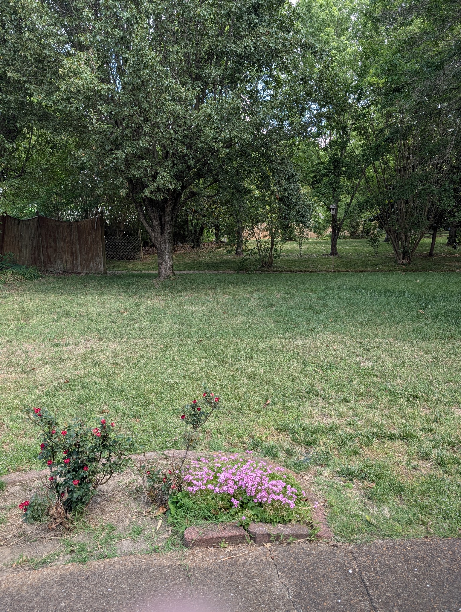 1401 Joe Pyron Dr