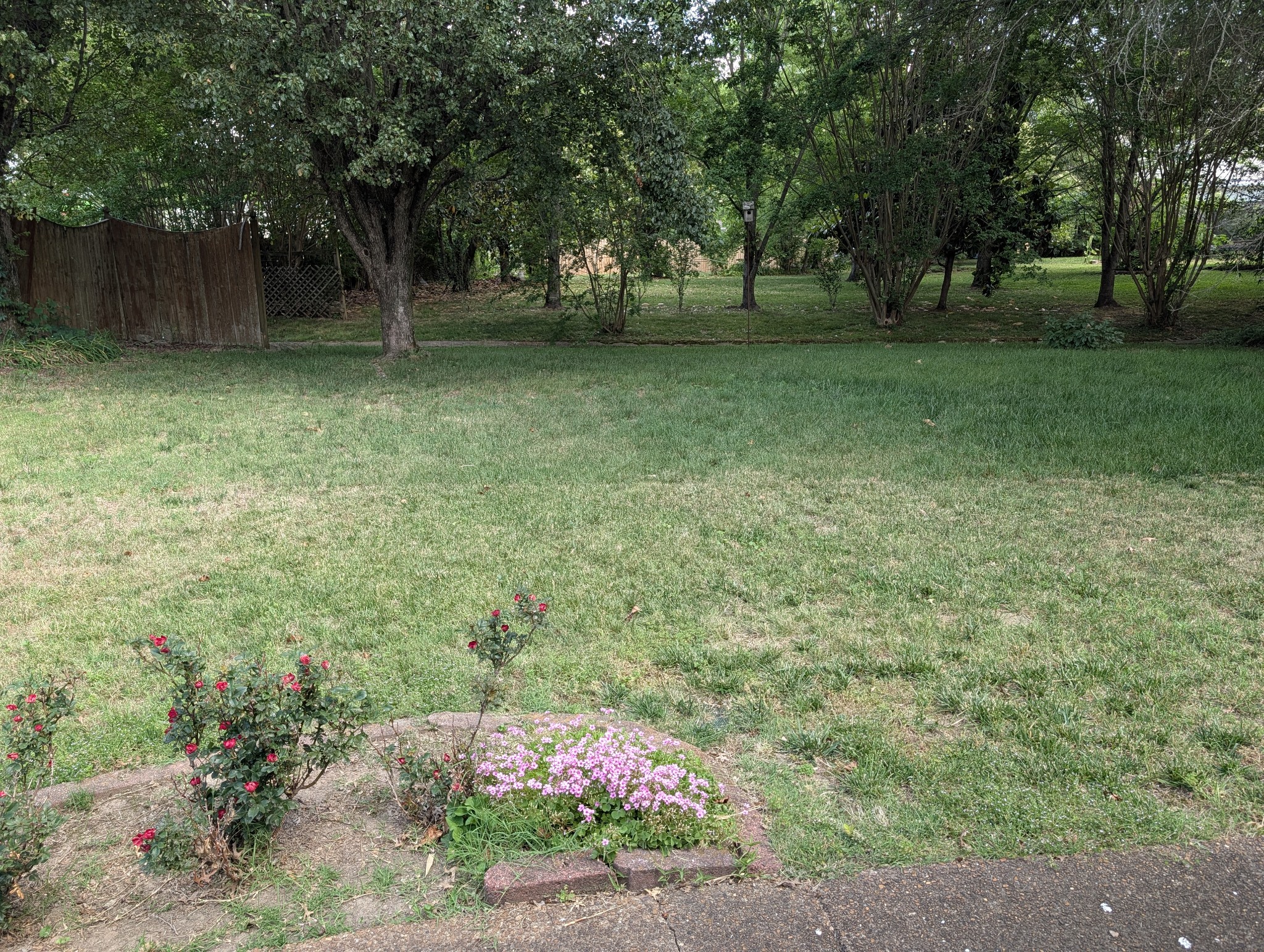 1401 Joe Pyron Dr