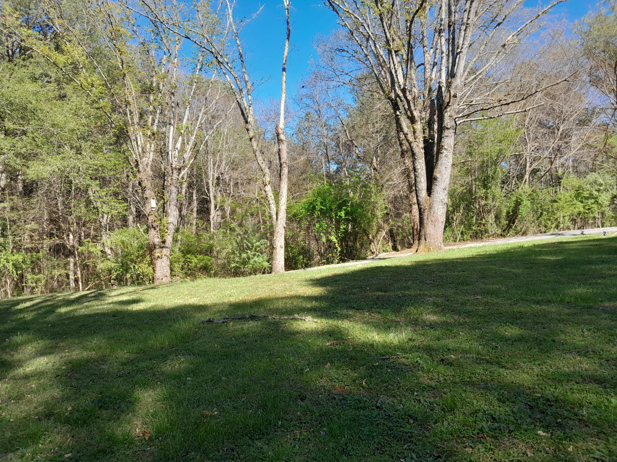 364 Cherokee Trail