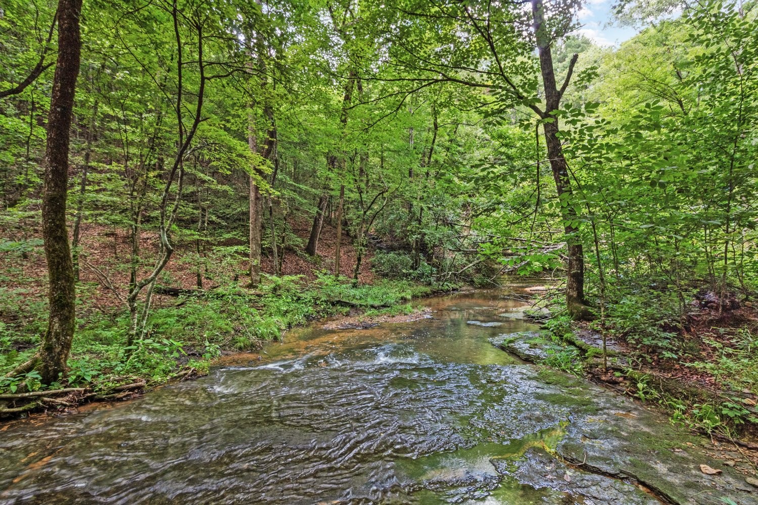 185 Ravenridge Rd