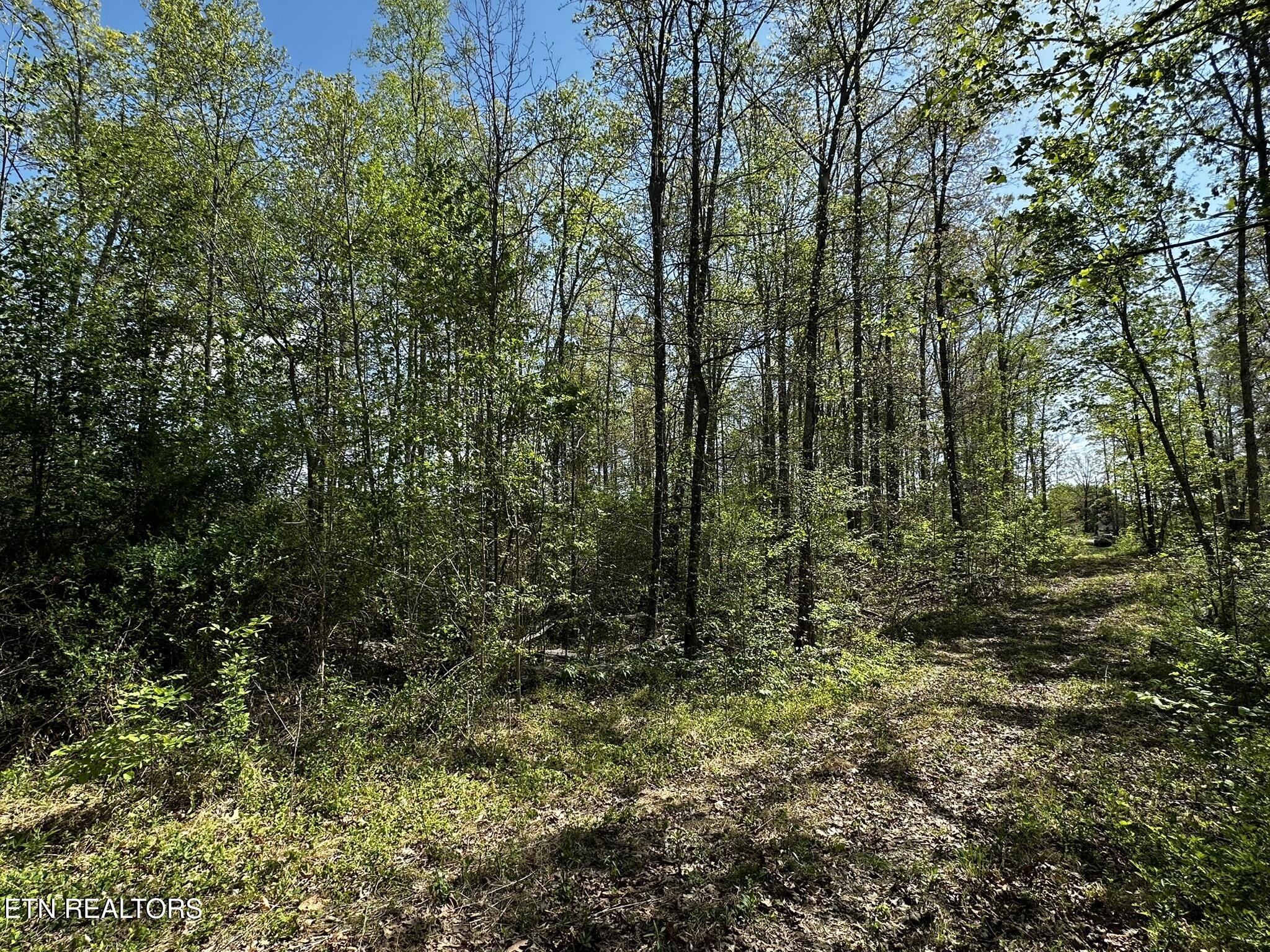 105 Johnson Hollow Lane
