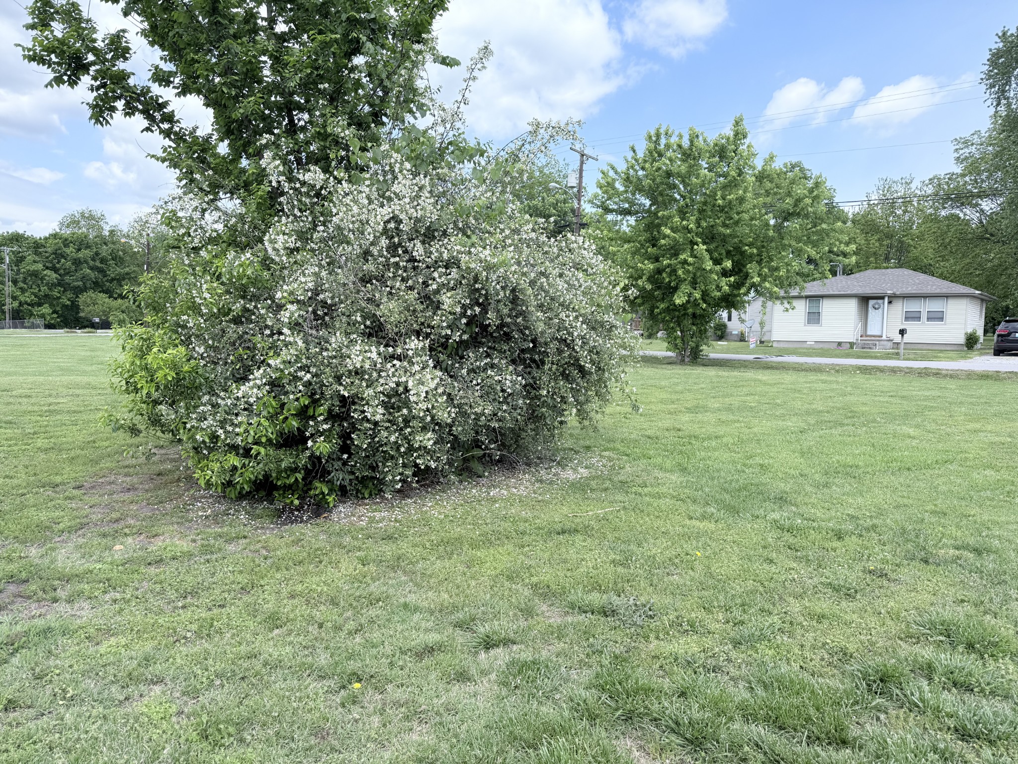 137 Dripping Springs St