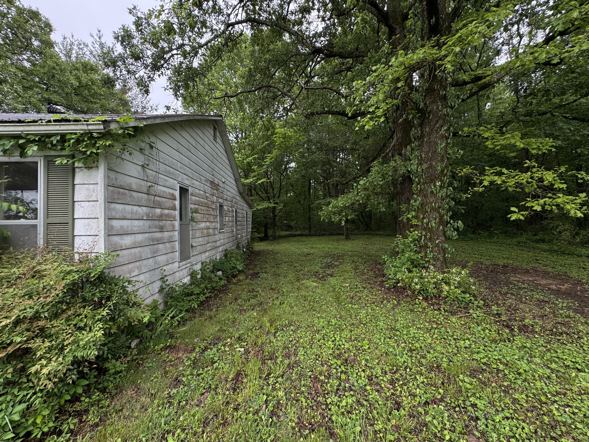 5312 Bluff Springs Rd