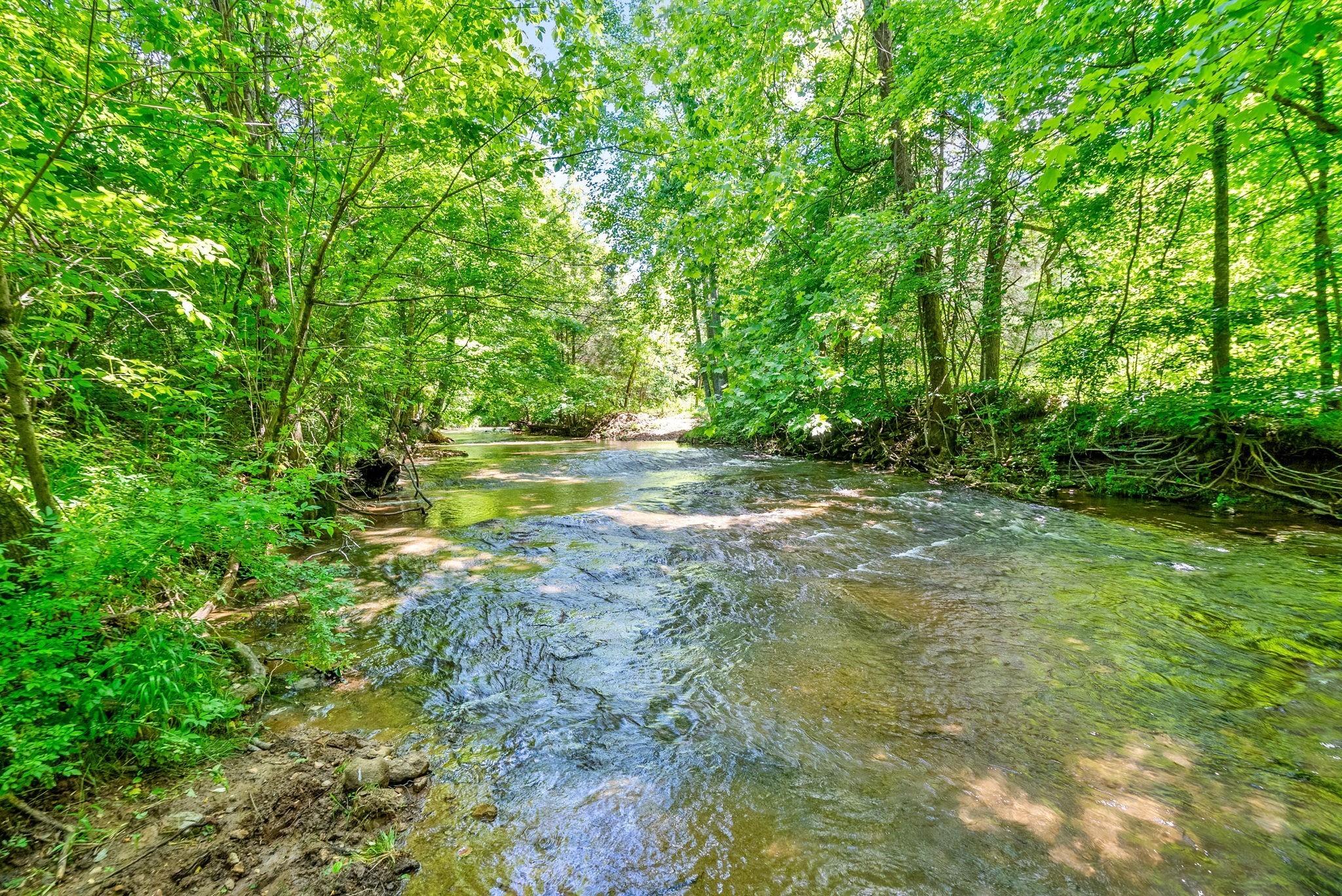 3712 Budds Creek Rd