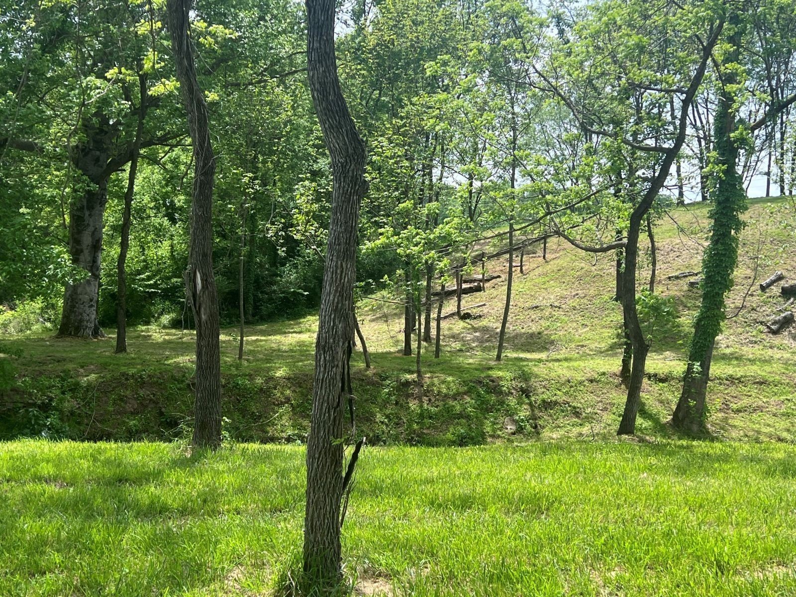 5006 Rock Springs Rd