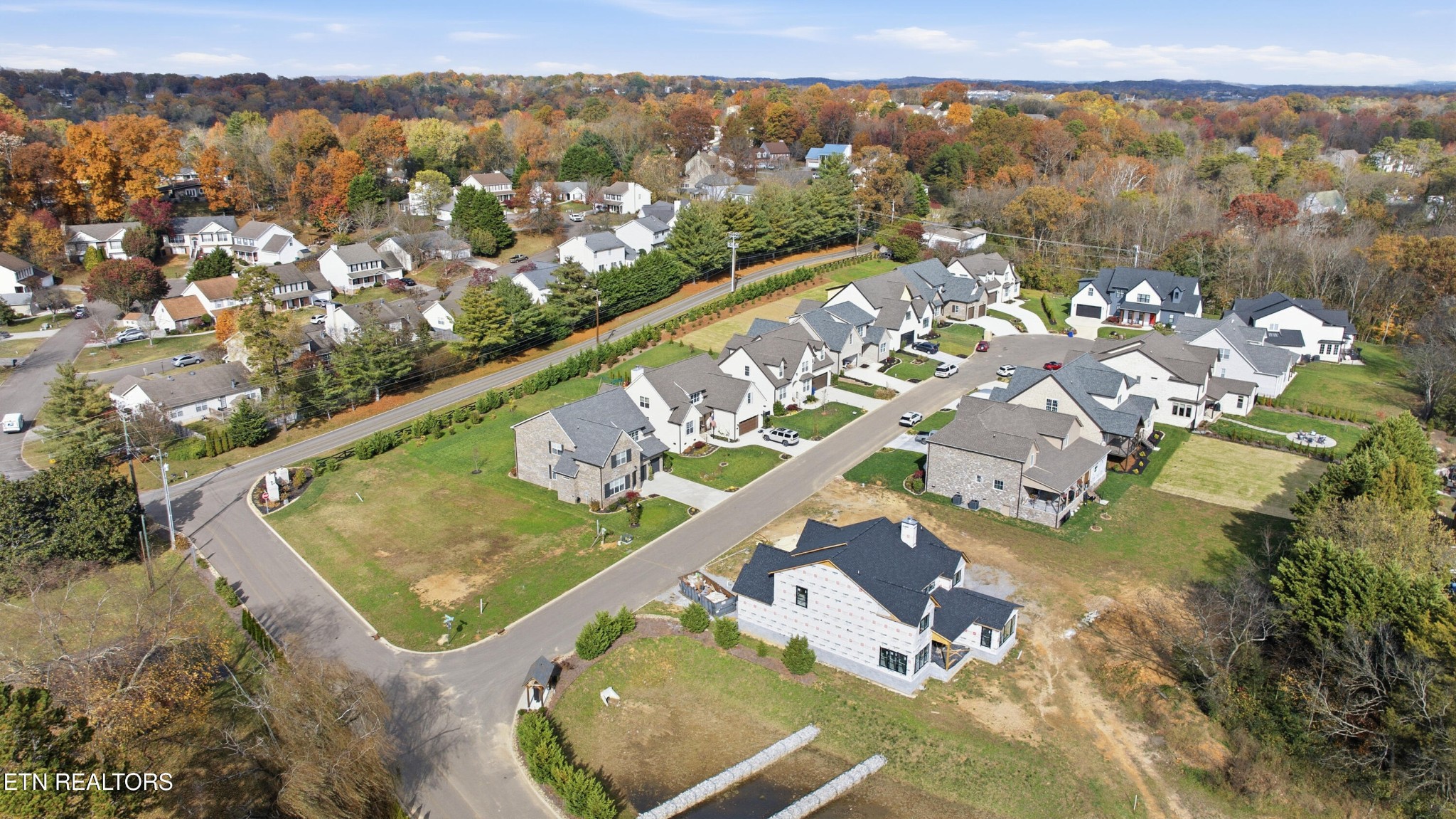 8117 Carolina Cherry Lane