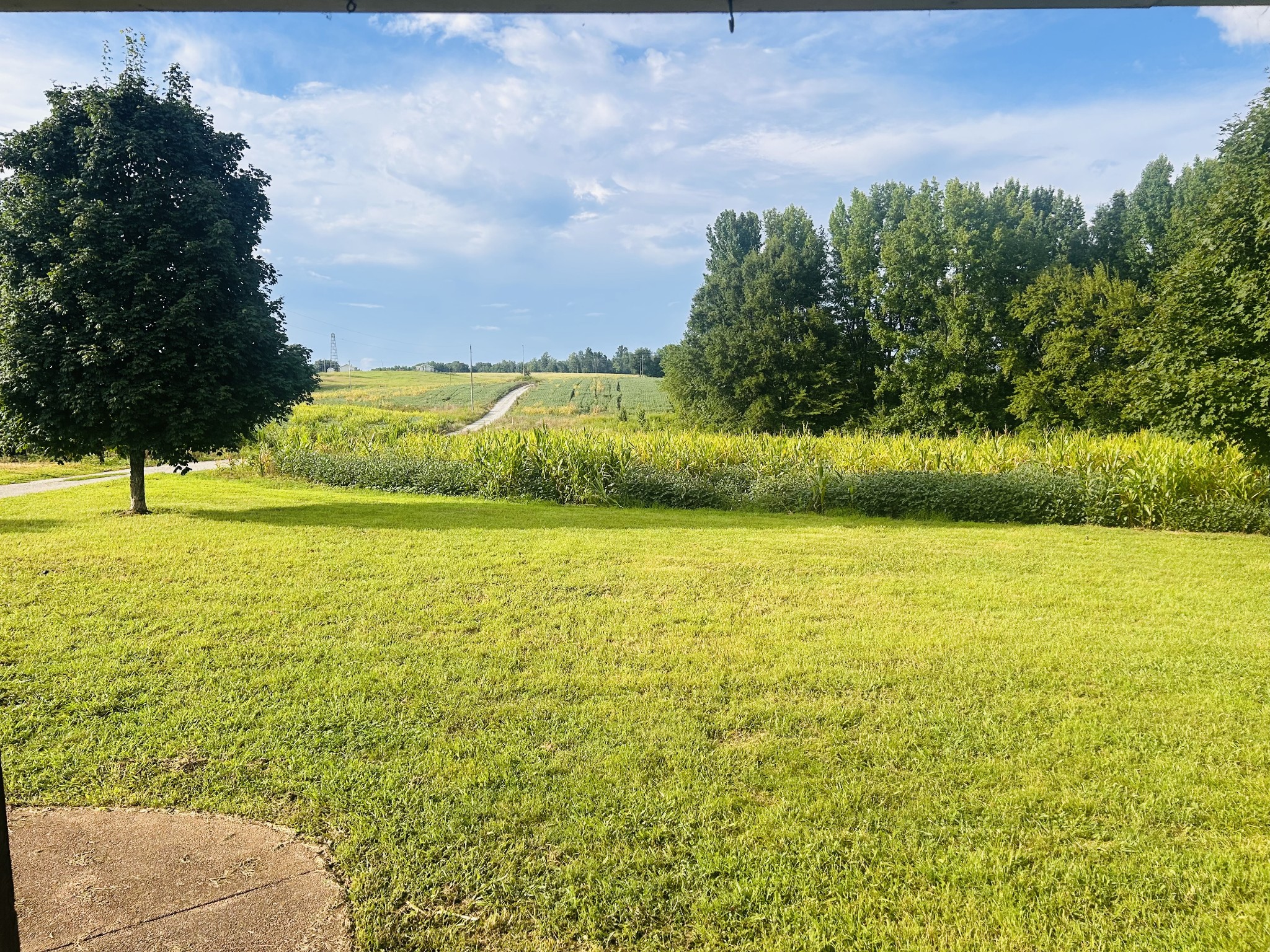 235 Breezy Knoll Ln
