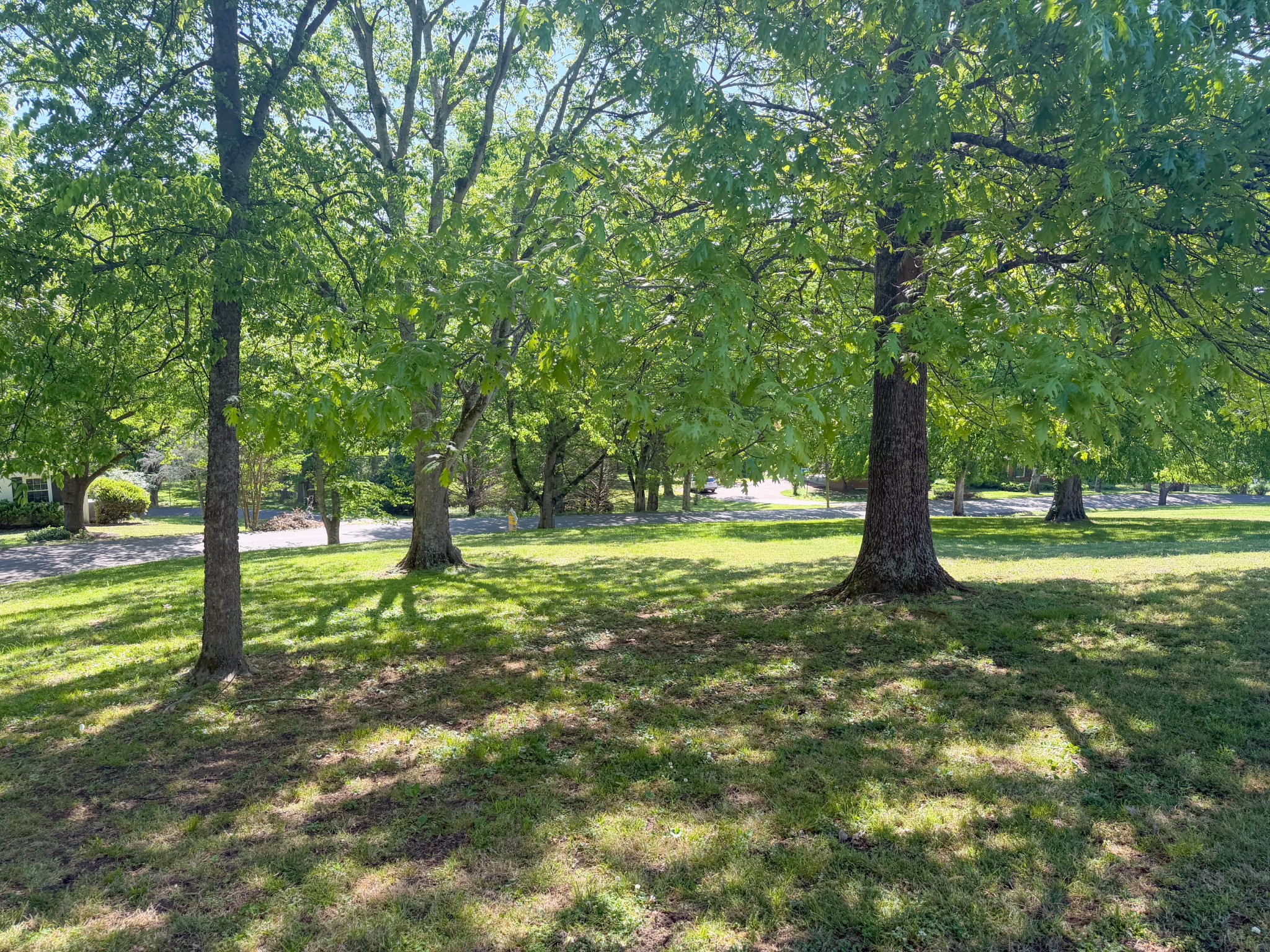 133 Sunset Dr