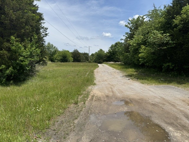 984 Old Lewisburg Hwy