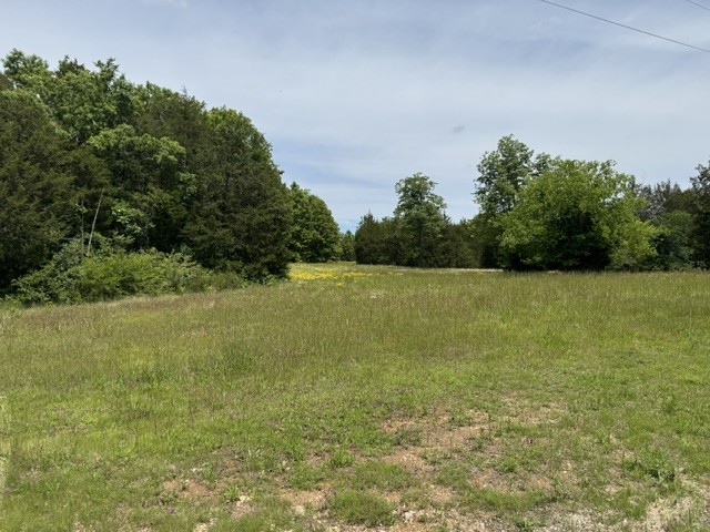 984 Old Lewisburg Hwy