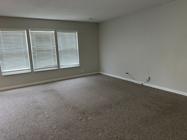 103 Trailing Blossom Ln