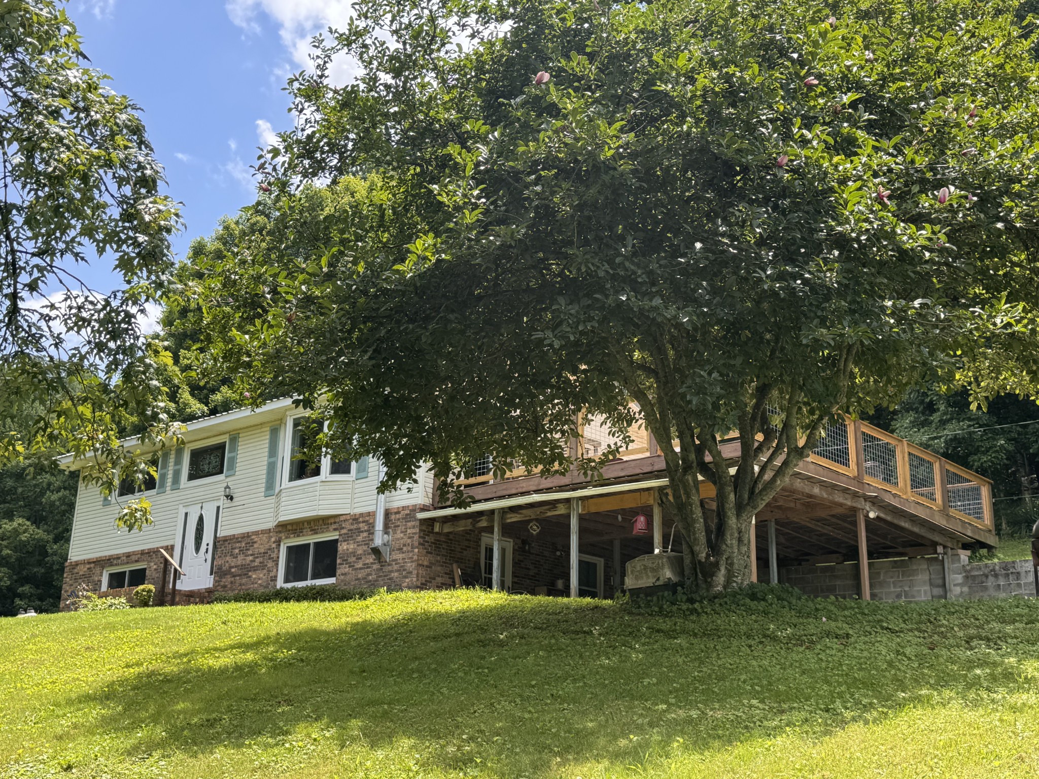 638 Mimosa Rd