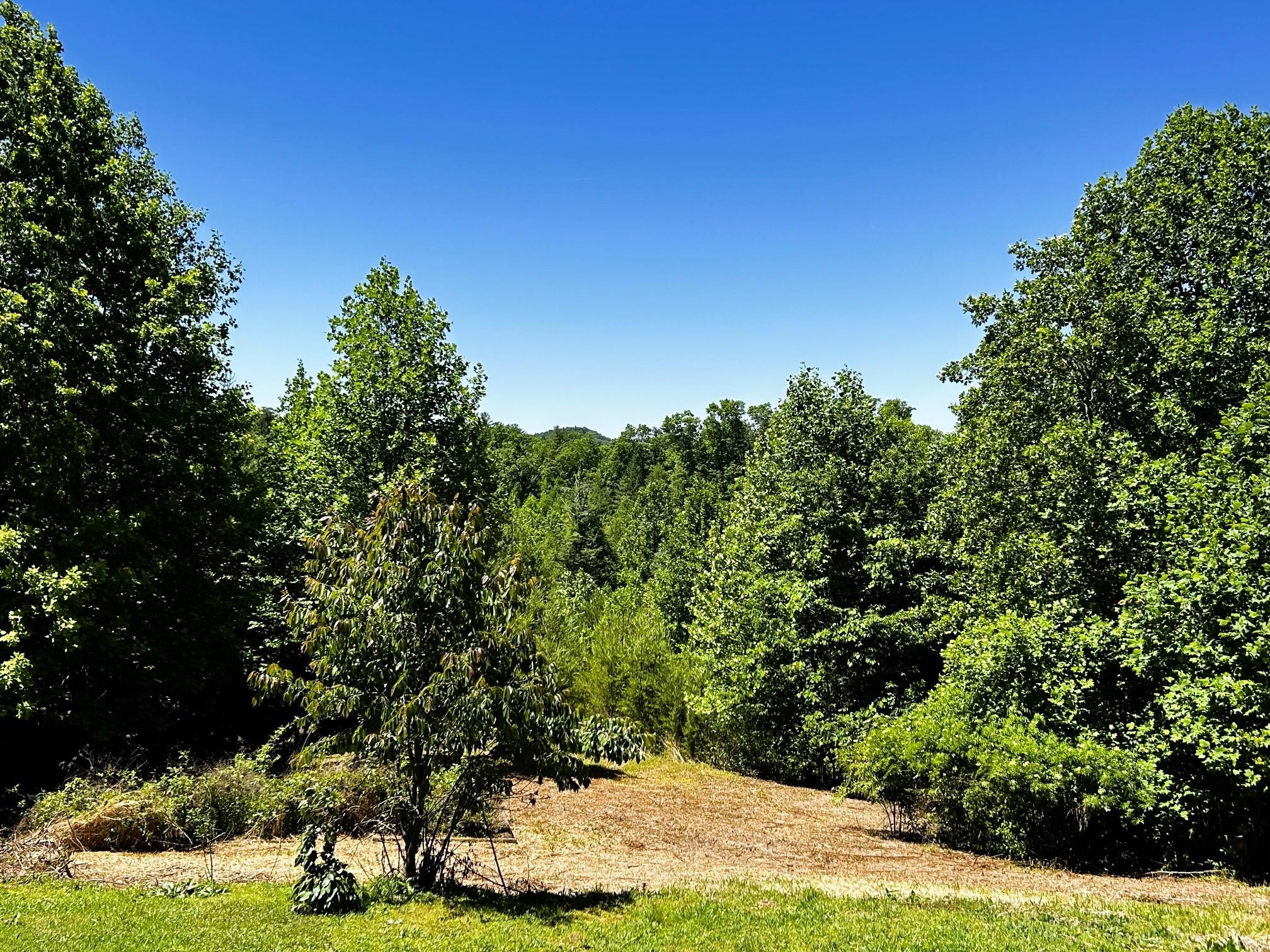 161 Willie Shell Road