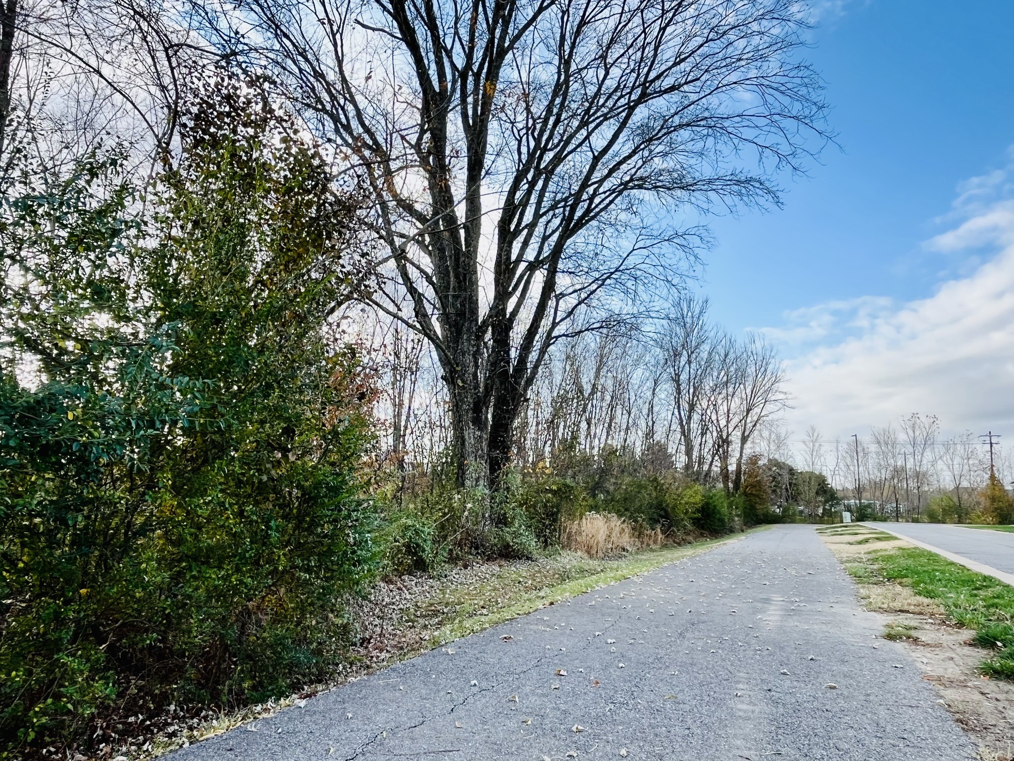361A Wellows Chase