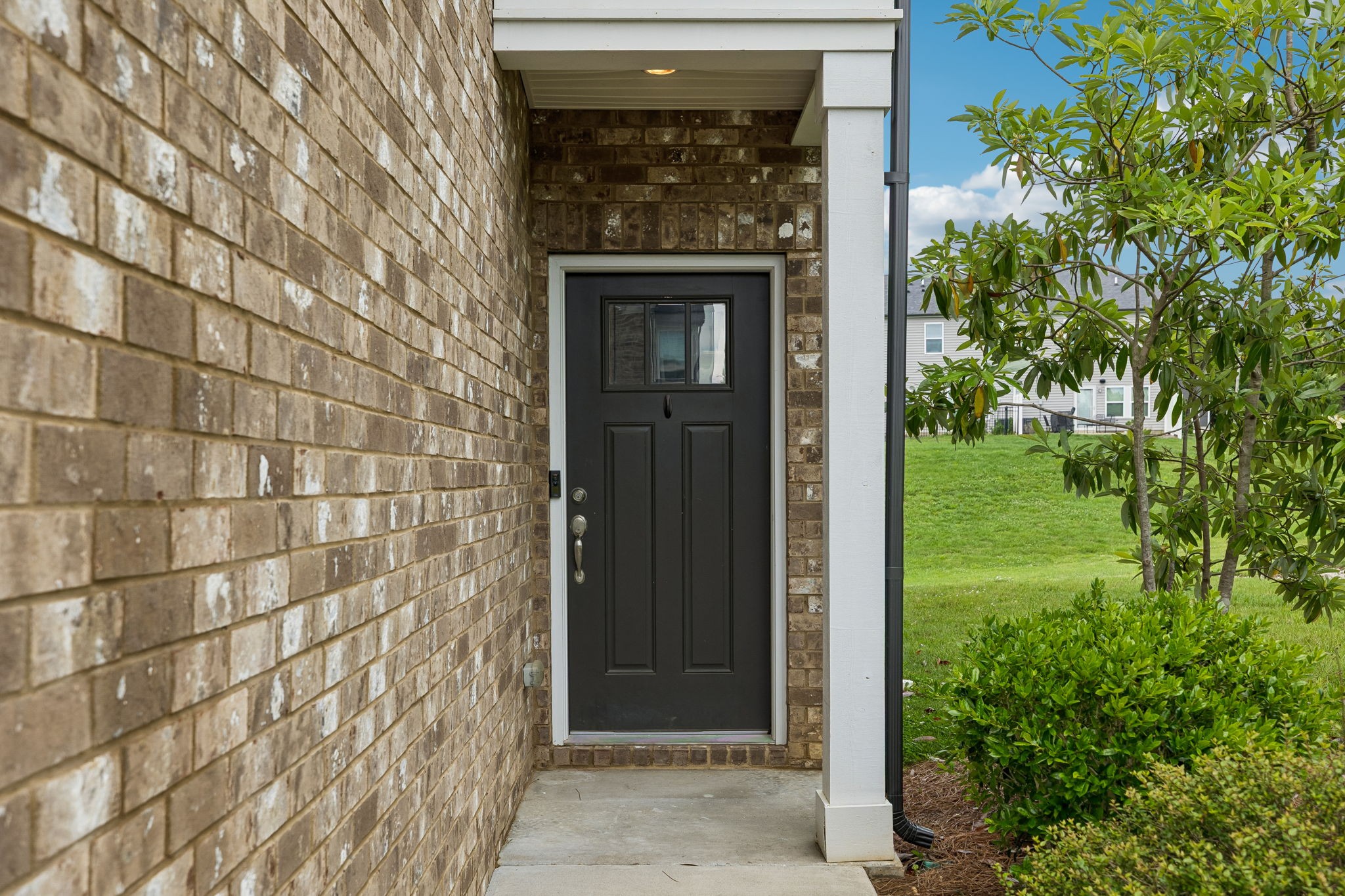 431 Palmetto Dr