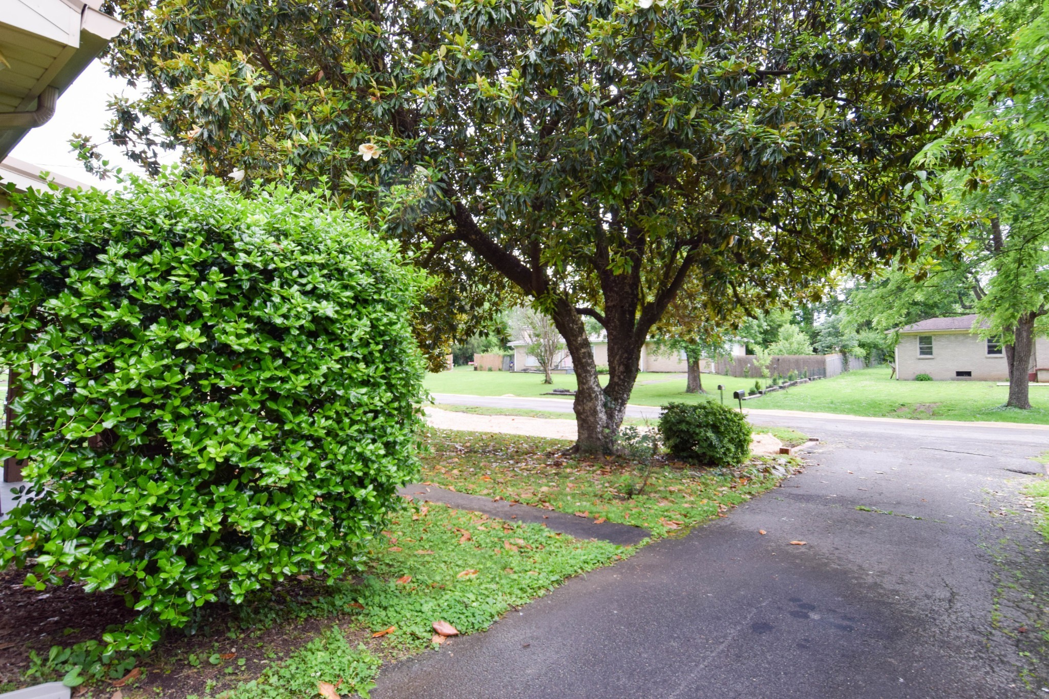 126 Glenn Ave