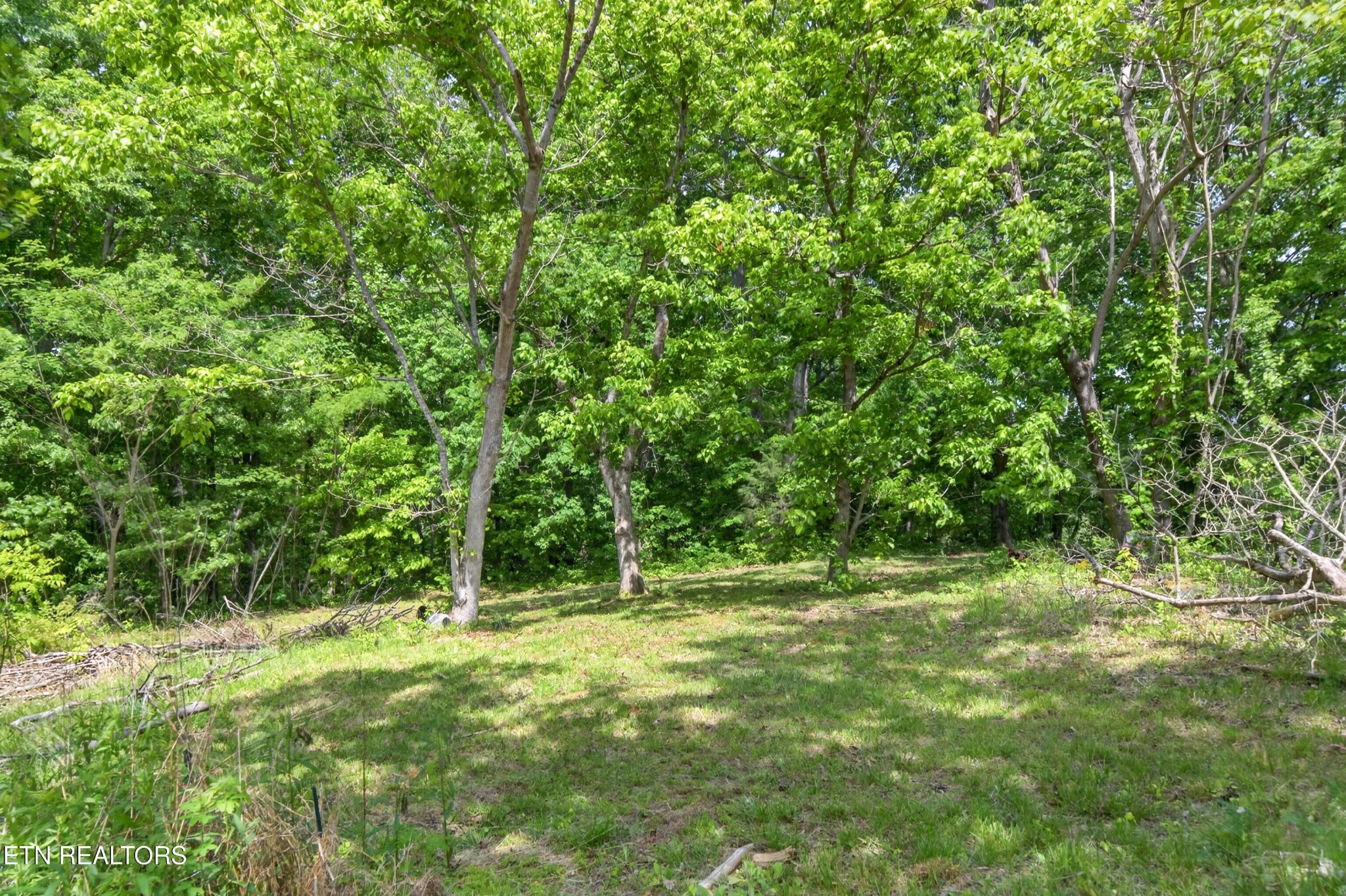 1161 Charlie Doss Rd